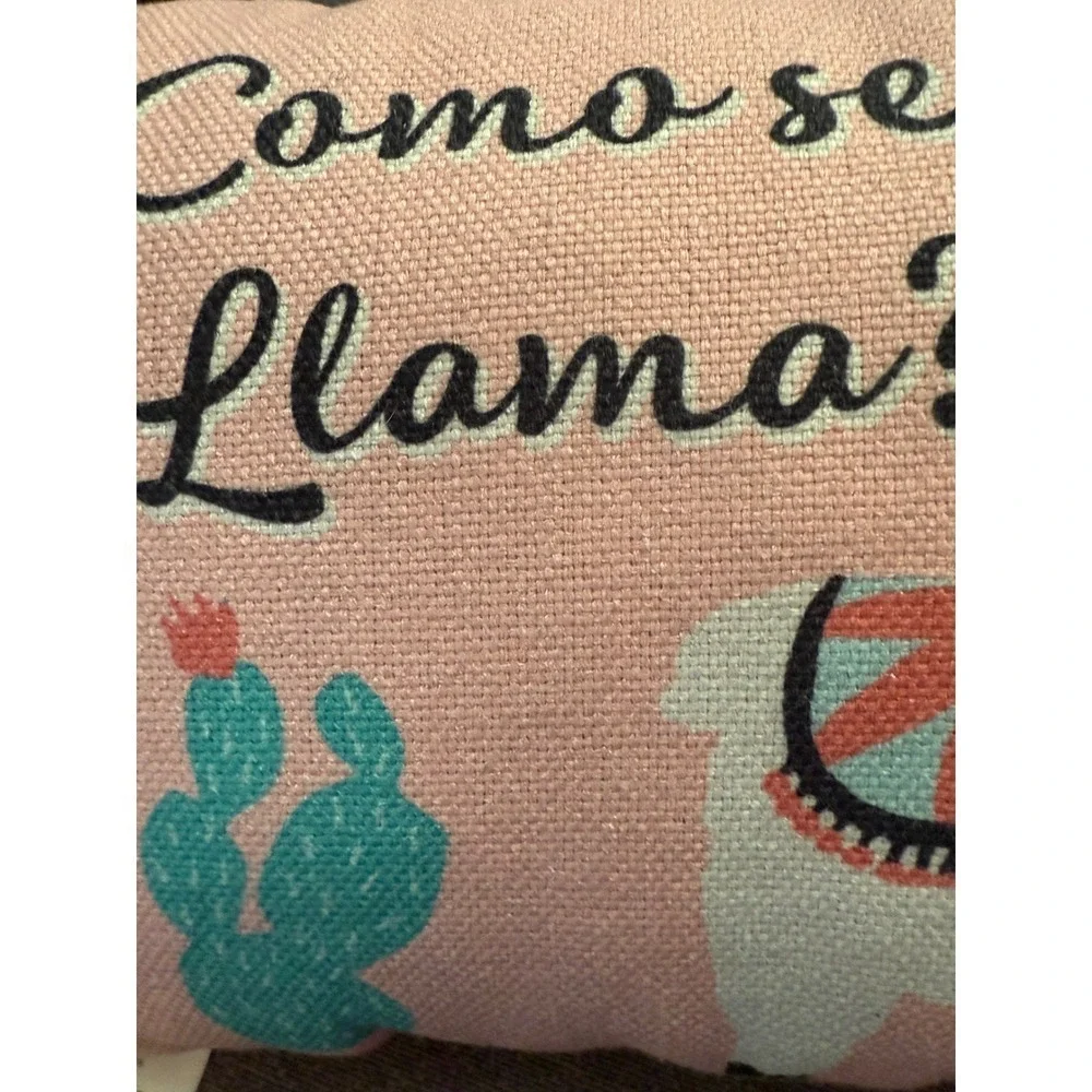 Coma Se Llama Spanish Llama Decorative Pillow Pink Western Style Throw Pillow